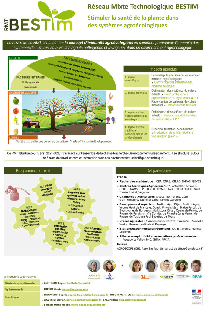 Poster Examples Rmt RMT Bestim